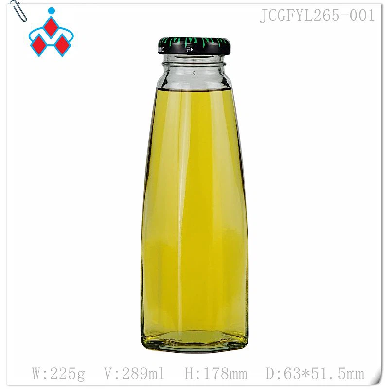 Wine Fermenting Bottle